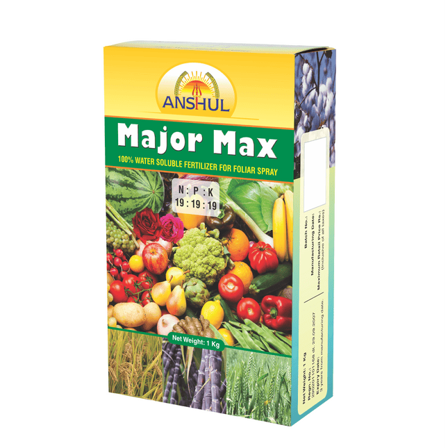 Anshul Major Max (19:19:19) - 1KG