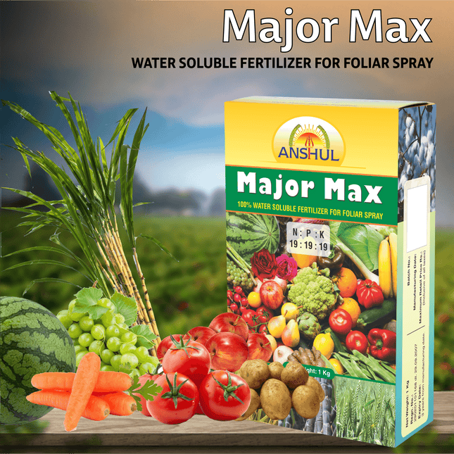 Anshul Major Max (19:19:19) - 1KG