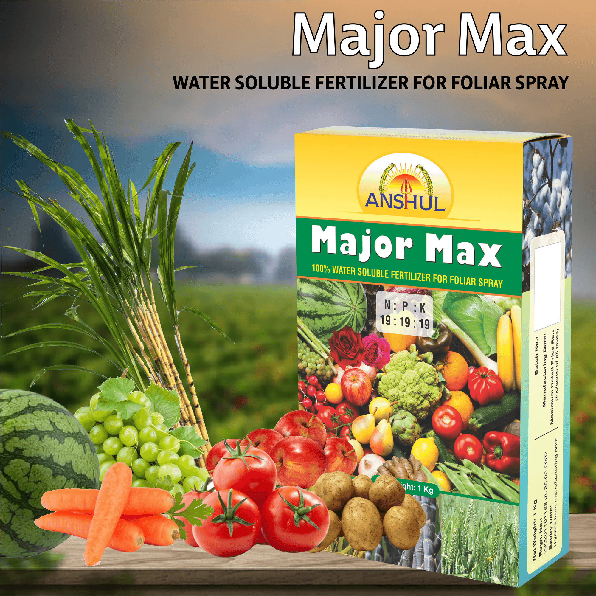 Anshul Major Max (19:19:19) - 1KG
