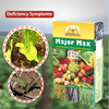 Anshul Major Max (19:19:19) - 1KG Deficiency symptoms