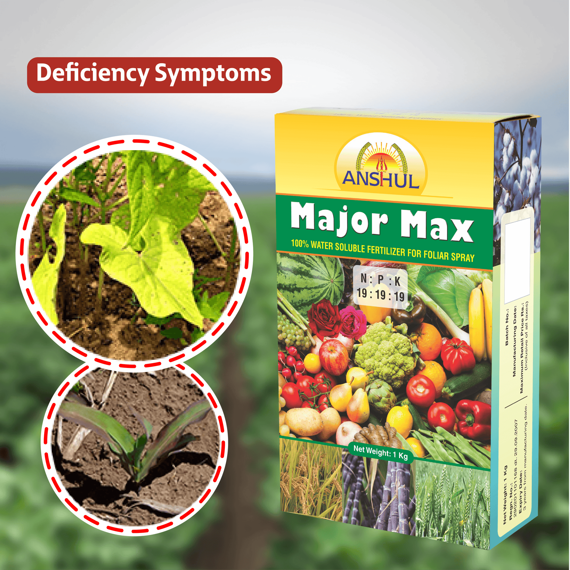 Anshul Major Max (19:19:19) - 1KG Deficiency symptoms
