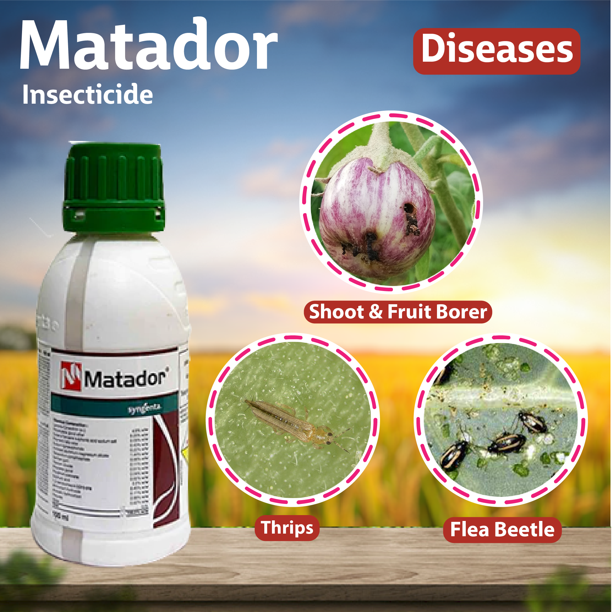 Syngenta Matador Insecticide – Agriplex