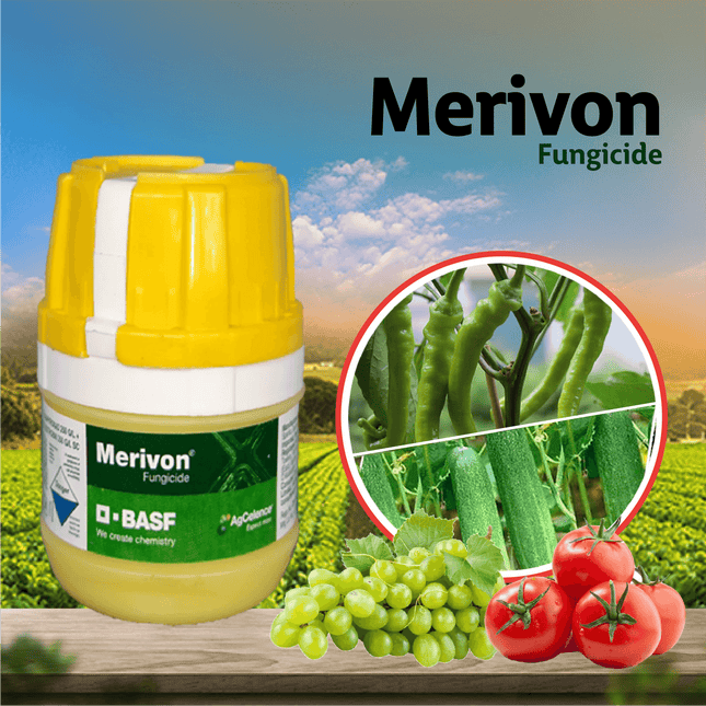 BASF Merivon Fungicide