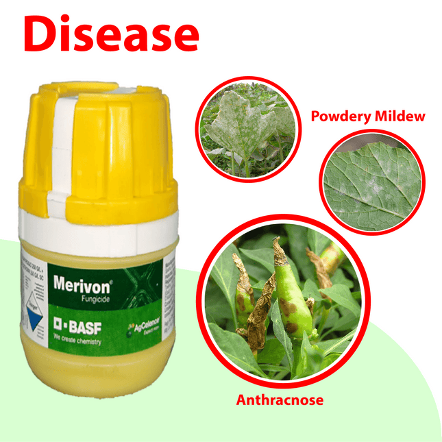 BASF Merivon Fungicide