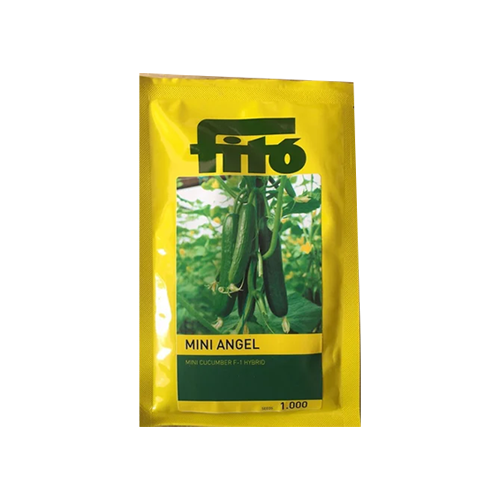 FITO Mini Angel Cucumber Seeds - Agriplex