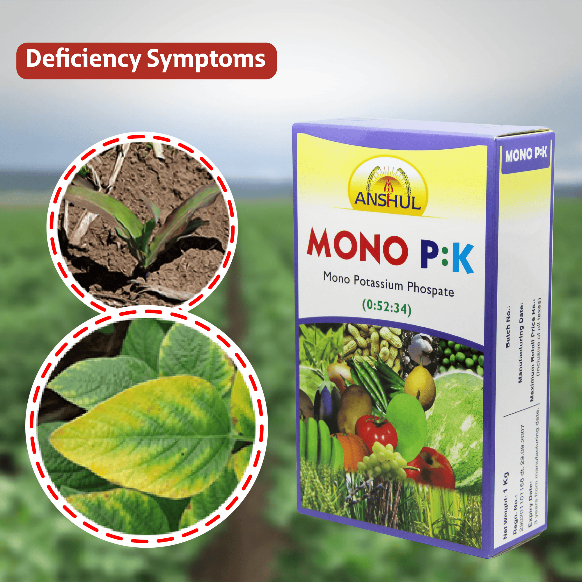 Anshul Mono P:K (00:52:34) Fertilizer - 1KG Deficiency symptoms