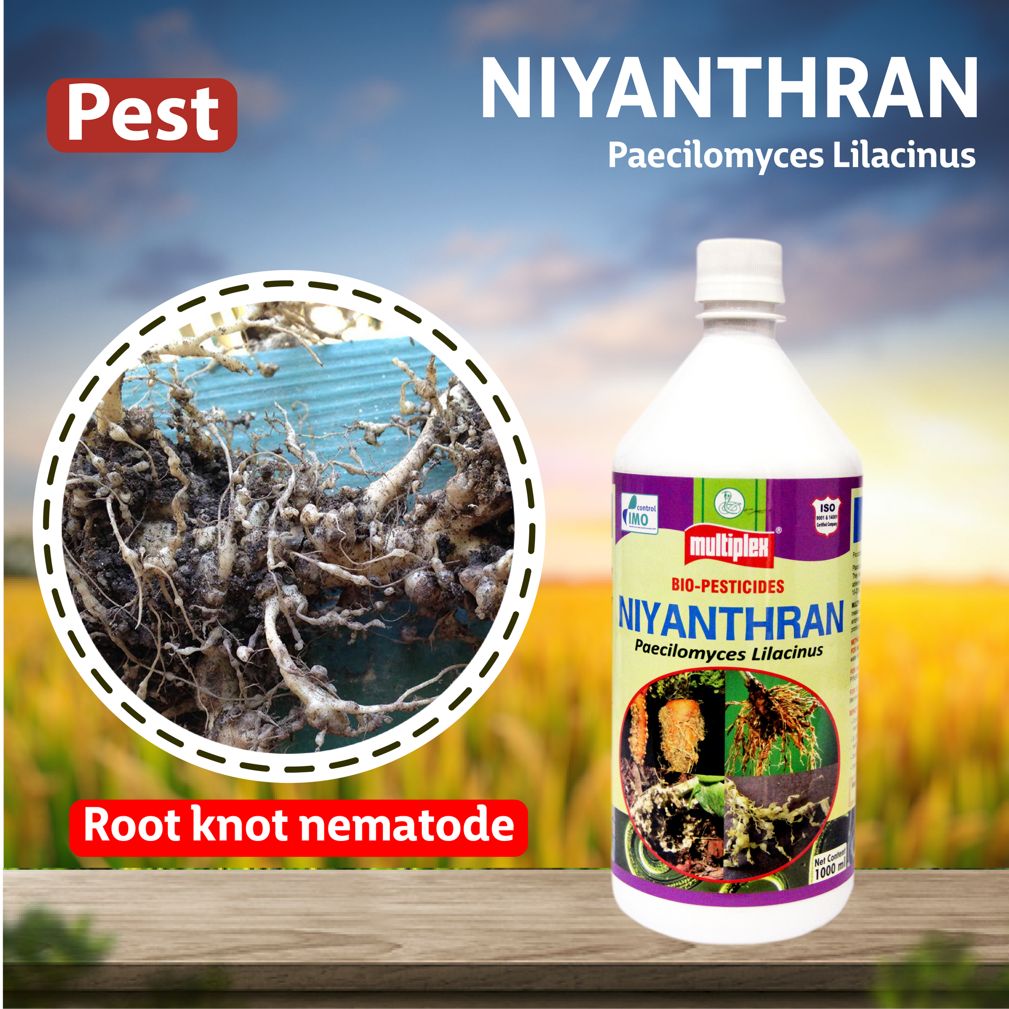 Multiplex Niyanthran (Liquid)