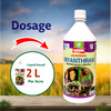 Multiplex Niyanthran (Liquid) Dosage