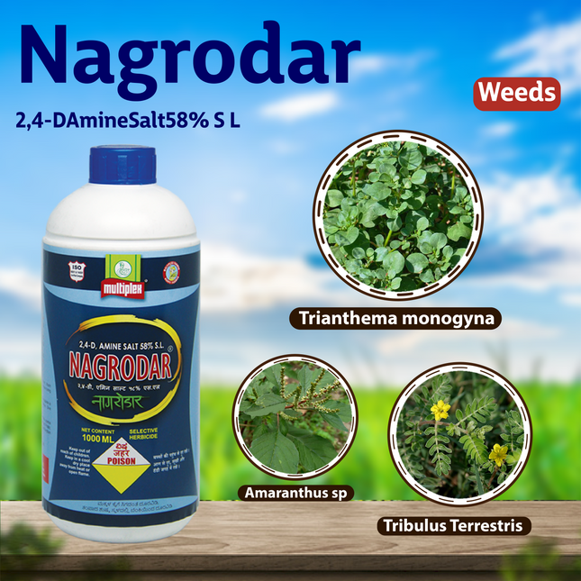 Multiplex Nagrodar Herbicide