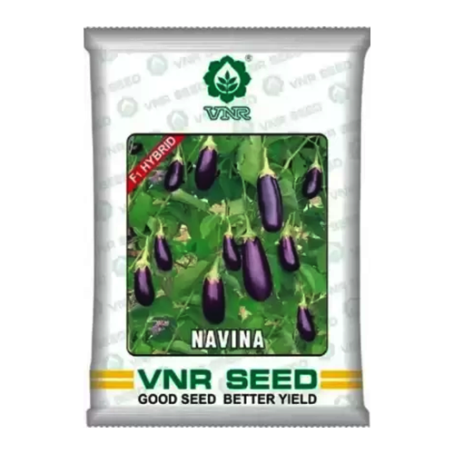 VNR Navina Brinjal - 10 GM