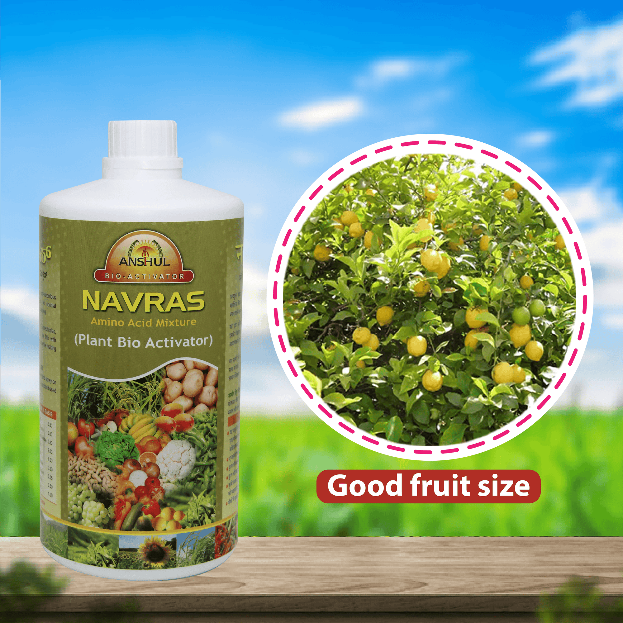 Anshul Navras (Amino Acid)