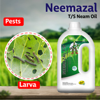 Coromandel Neemazal T/S Neam Oil – Agriplex