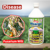 Multiplex Nisarga (Trichoderma Viride) - Liquid