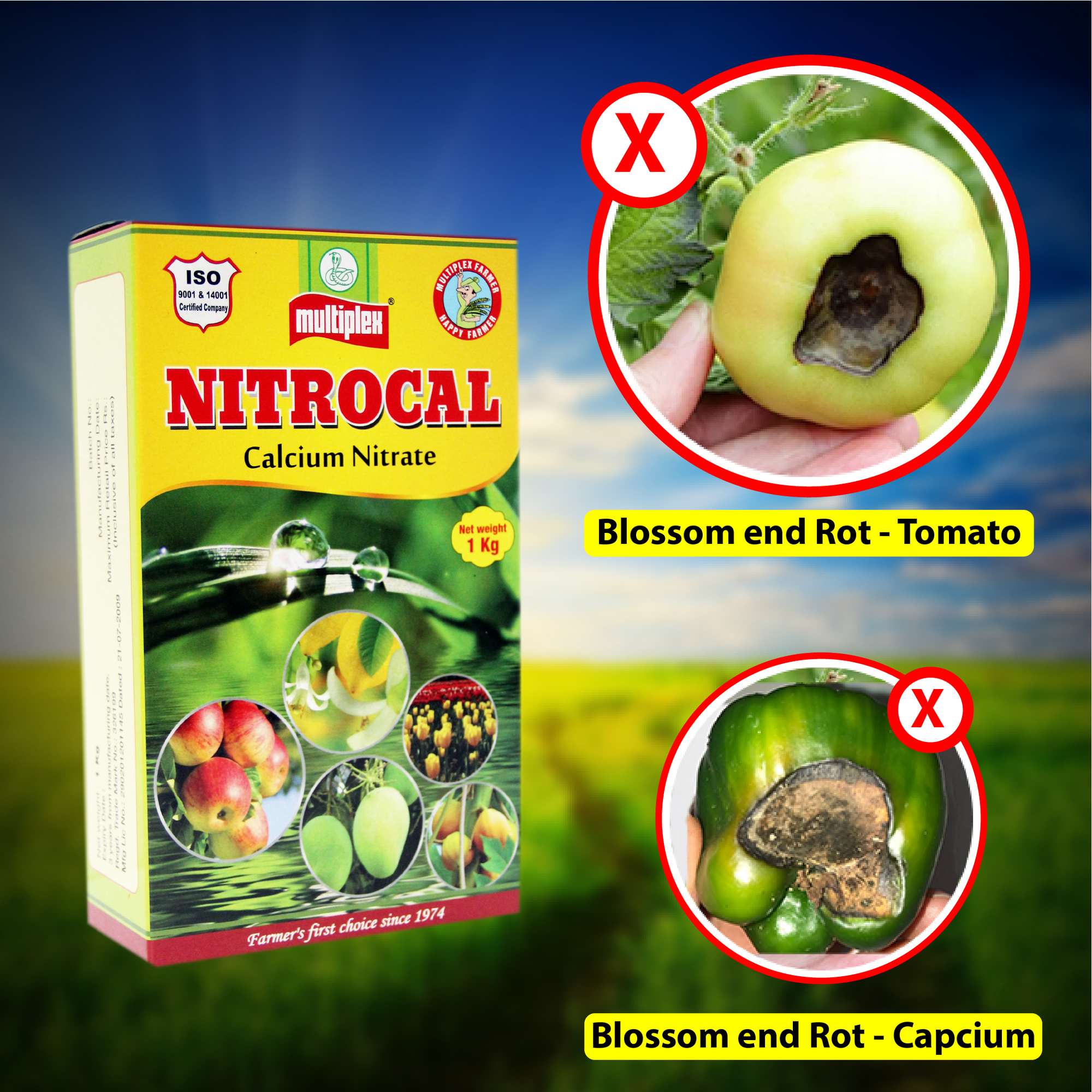 Multiplex Nitrocal (Calcium Nitrate) - 1 KG