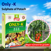 Multiplex Only K (0:00:50) - 1 KG