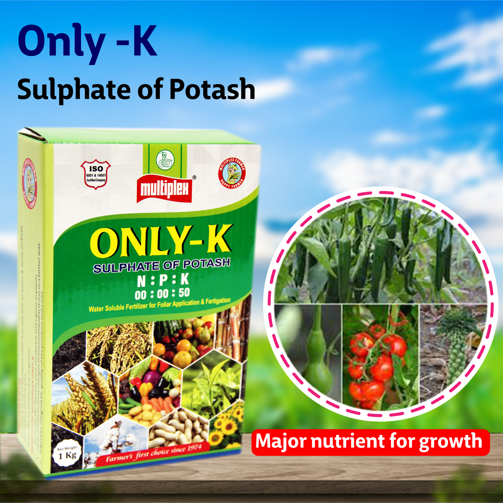 Multiplex Only K (0:00:50) - 1 KG