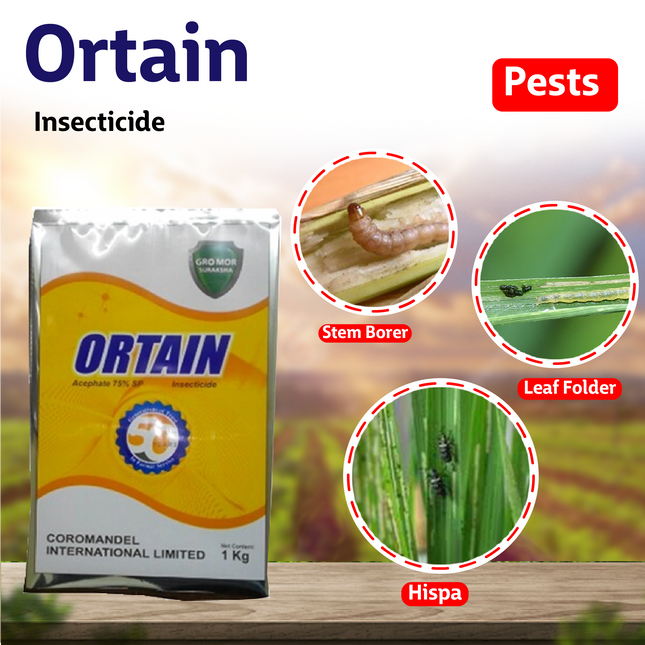Coromandel Ortain Insecticide