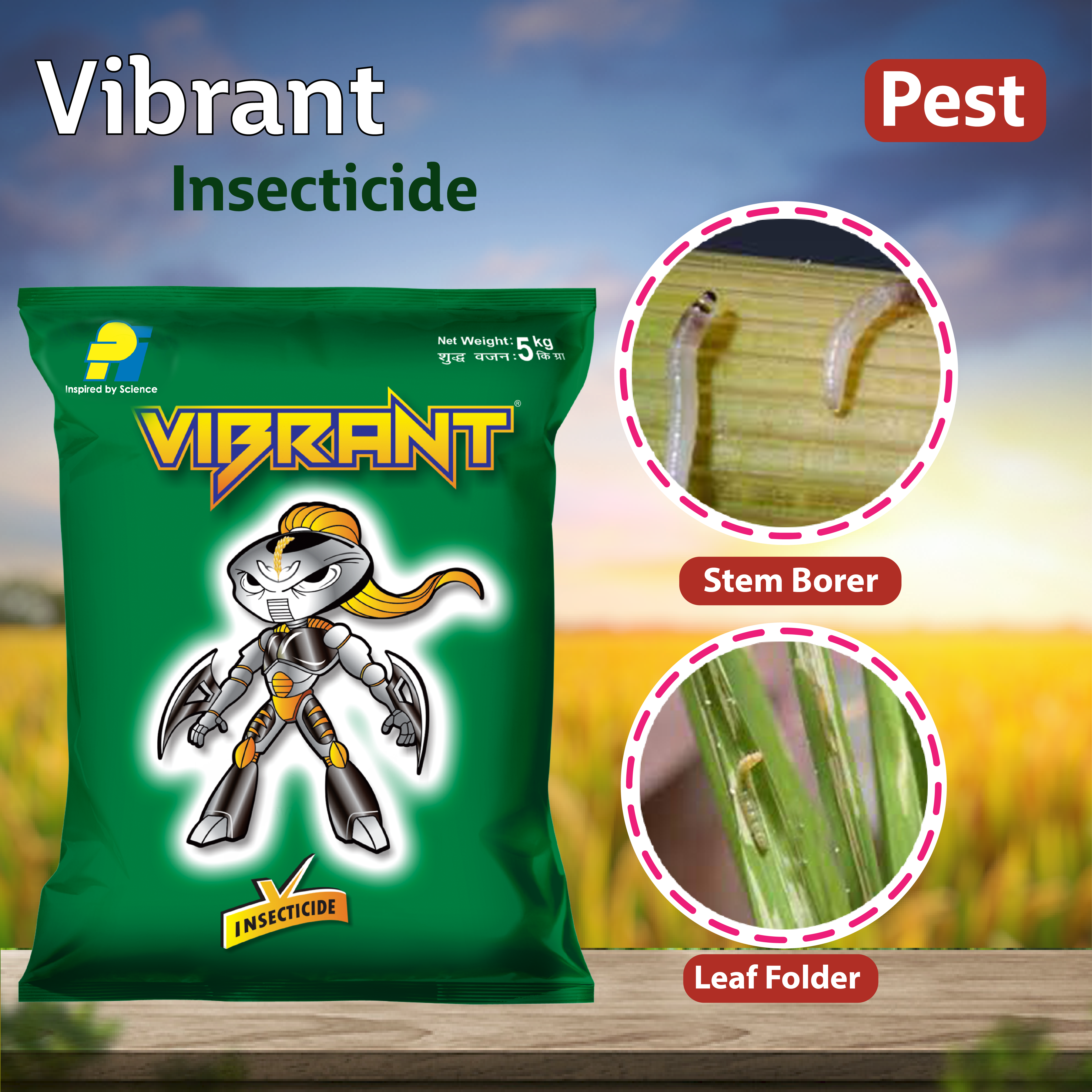 PI Vibrant Insecticide - 1 KG – Agriplex
