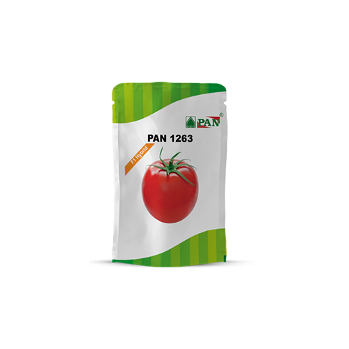 PAN 1263 Hybrid Tomato Seeds (Dark Red, Oval) - 10 GM - Agriplex