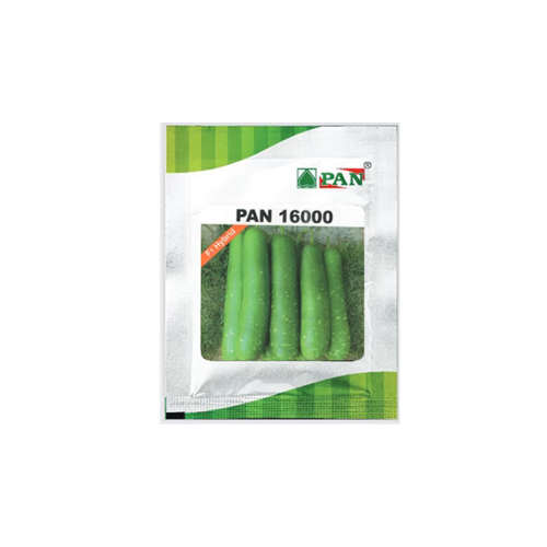 PAN Bottle Gourd 16000 Seeds - 10 GM (Pack of 2) - Agriplex