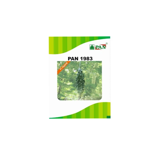 PAN 1983 Hybrid Bitter Gourd Seeds (Dark Green) - 10 GM (Pack of 2) - Agriplex