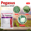 Syngenta Pegasus (Diafenthiuron 50%WP) Insecticide Crops