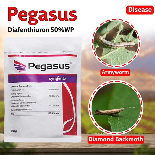 Syngenta Pegasus (Diafenthiuron 50%WP) Insecticide