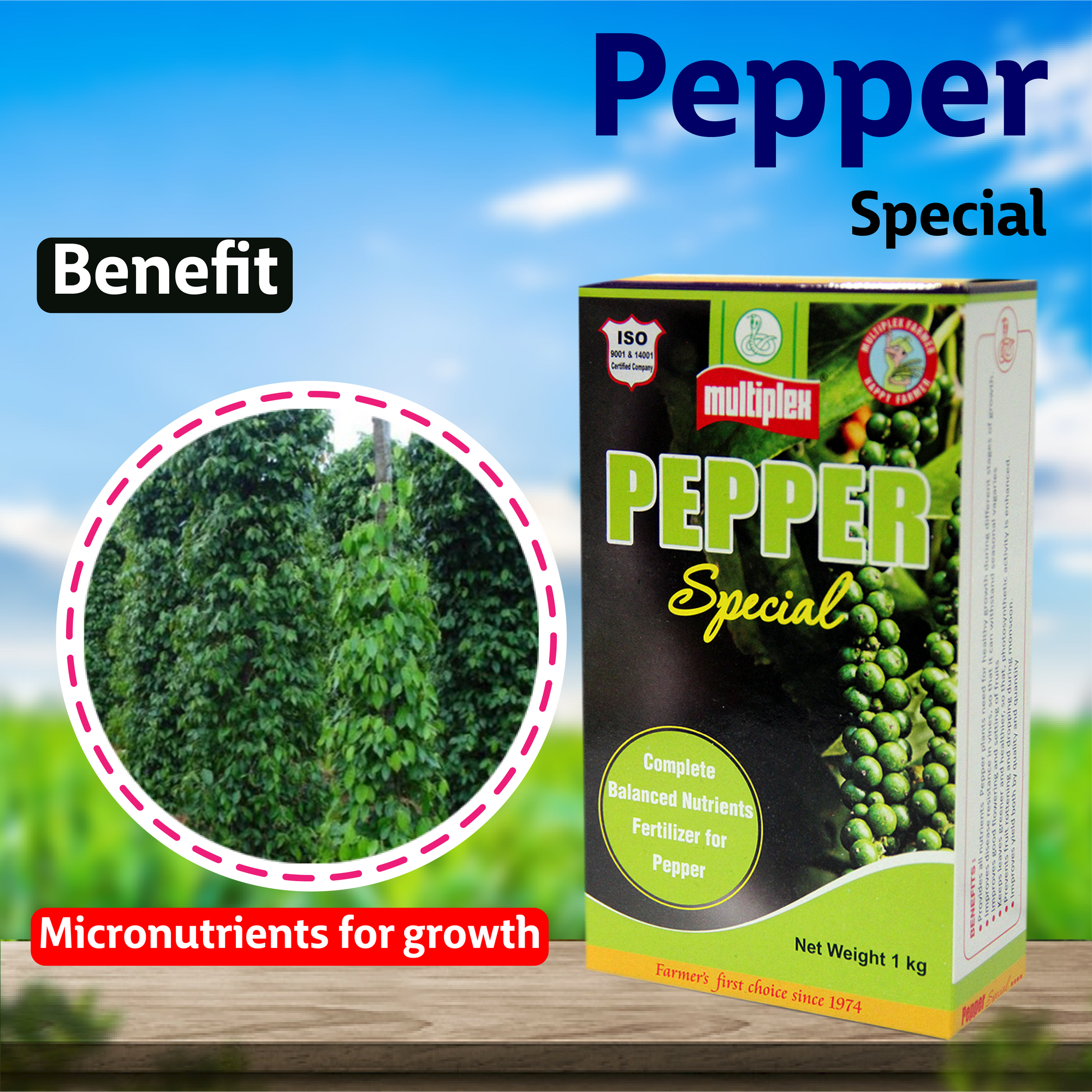 fertilizer for black pepper plant Multiplex Pepper Special (Multi Micronutrients) – Agriplex