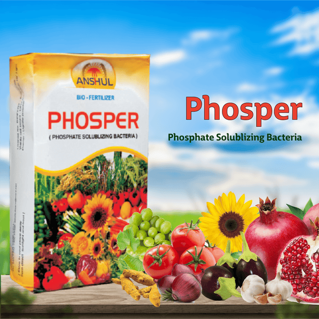 Anshul Phosper (Phosphate Solubilizing Bacteria) - 1 KG