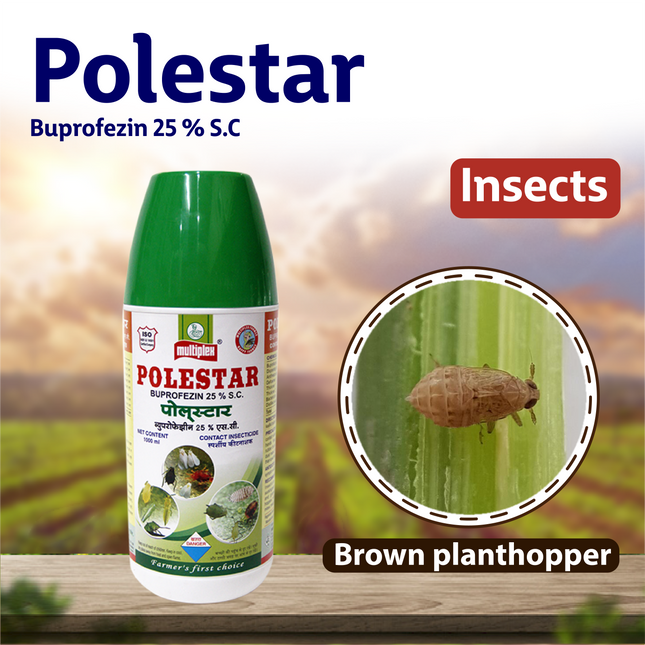 Multiplex Polestar Insecticide