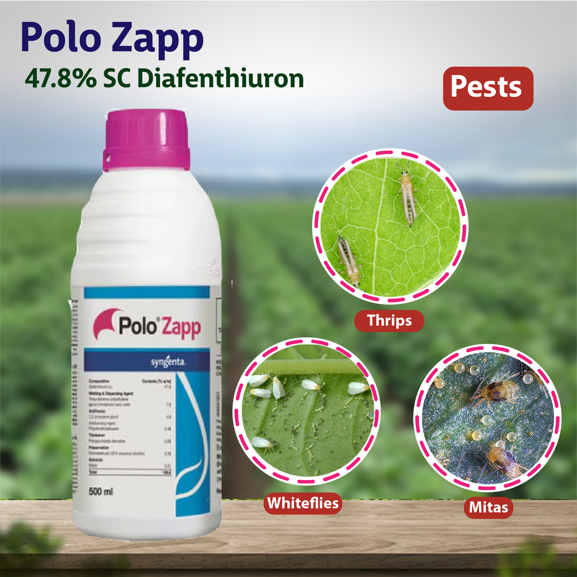polo herbicide Syngenta Polo Zapp Insecticide – Agriplex