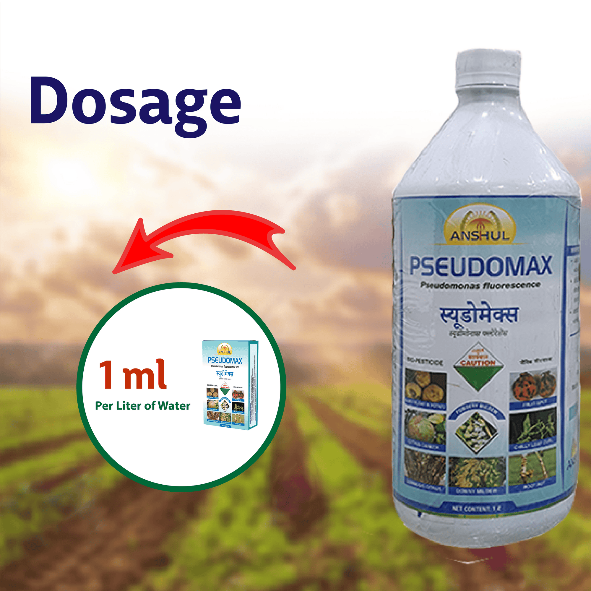 Anshul Pseudomax (Pseudomonas Fluorescence) Fungicide Liquid Dosage