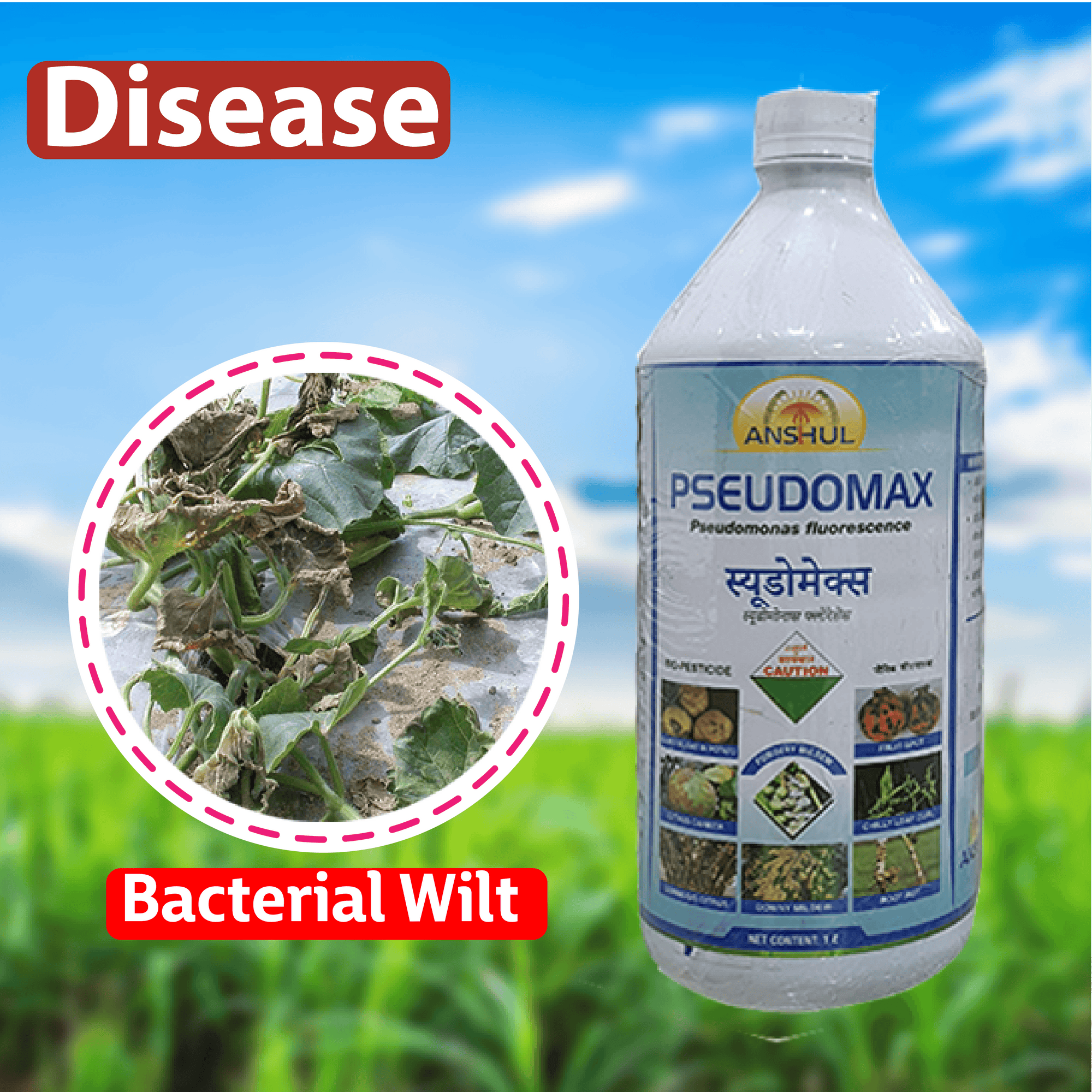 Anshul Pseudomax (Pseudomonas Fluorescence) Fungicide Liquid Diseases