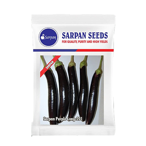 Sarpan Purple Brinjal Long - 201 Seeds - 20 GM
