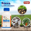Tata Reeva - Agriplex