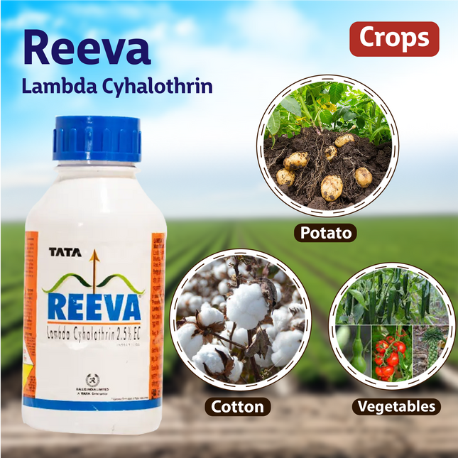 Tata Reeva - Agriplex