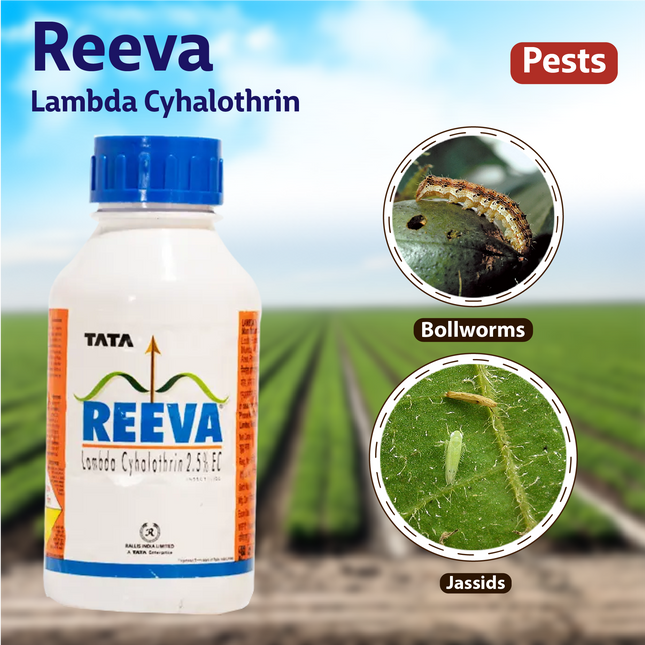 Tata Reeva - Agriplex