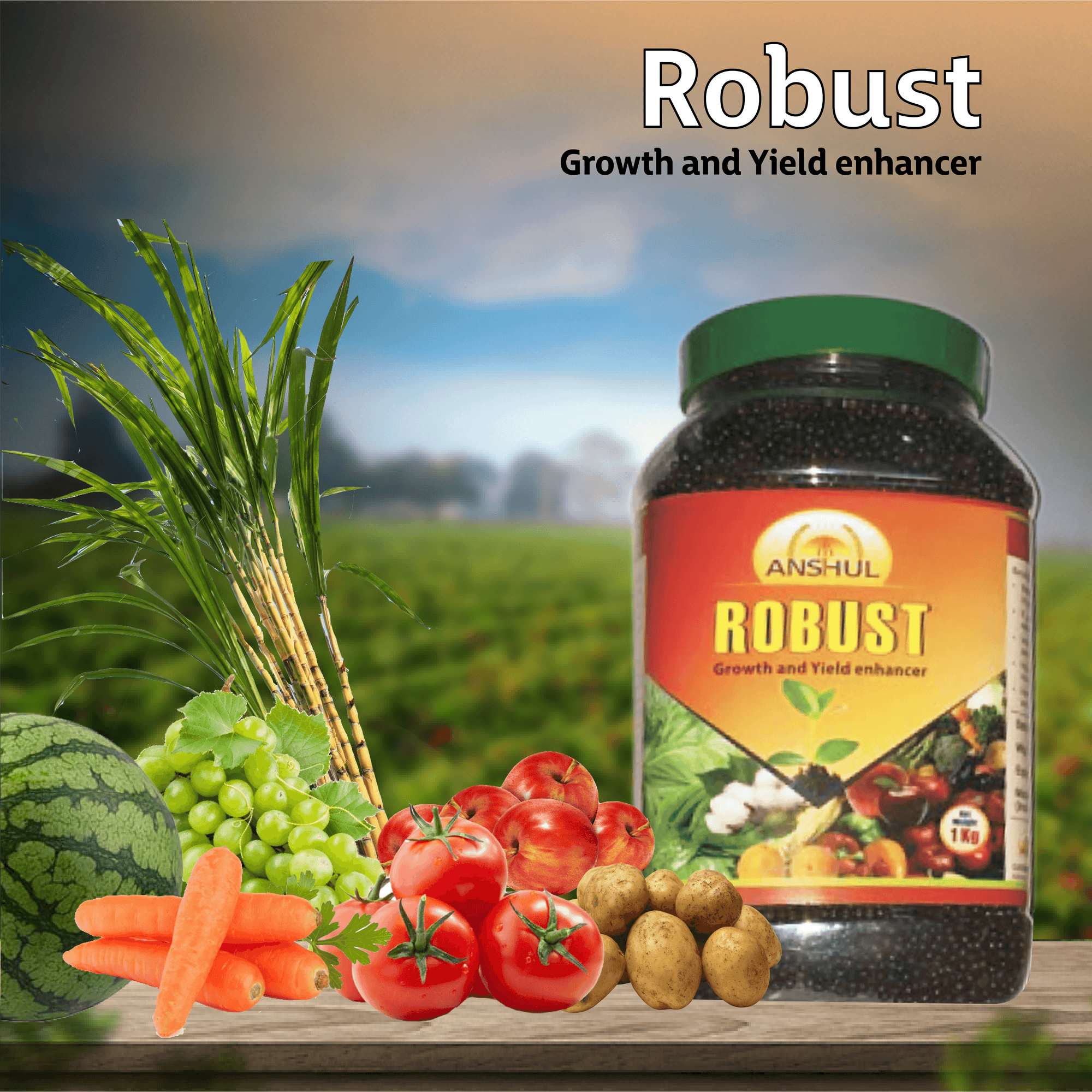 Anshul Robust Major Nutrients - 1KG