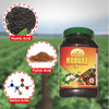 Anshul Robust Major Nutrients - 1KG