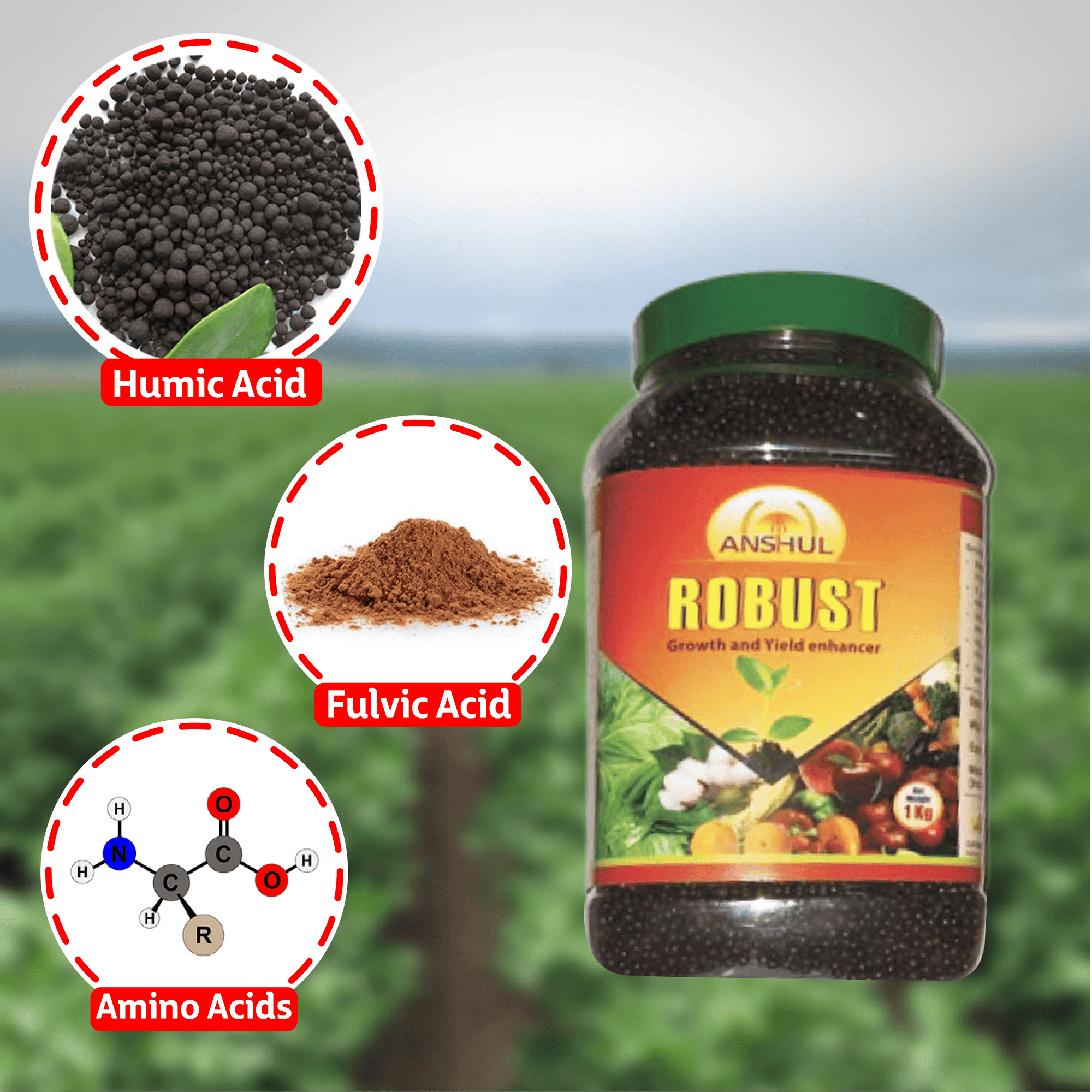 Anshul Robust Major Nutrients - 1KG