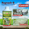 Multiplex Rognash-B Fungicide Controlls