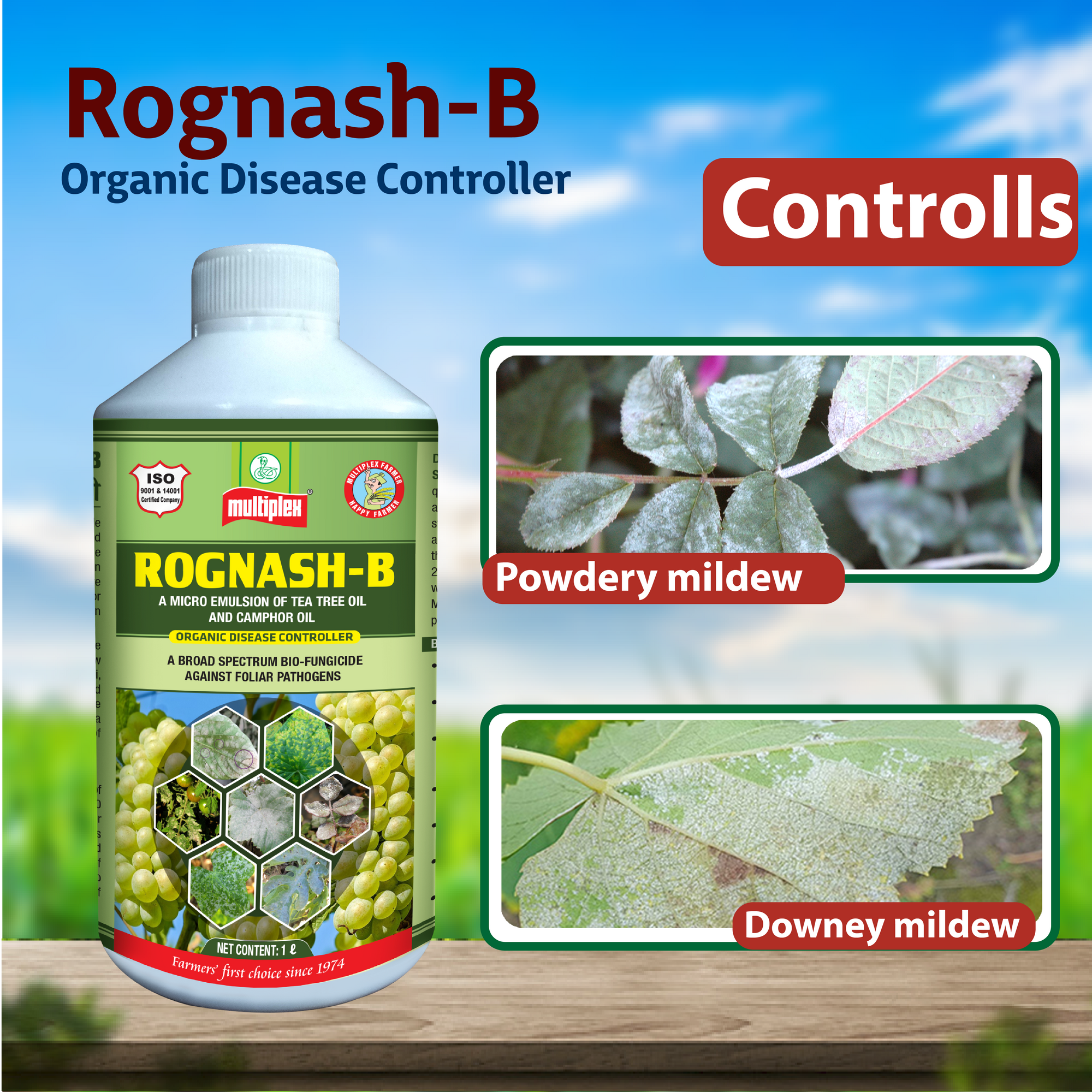 Multiplex Rognash-B Fungicide Controlls