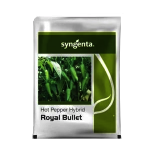 bullet herbicide Syngenta Royal Bullet Hybrid Chilli Seeds – Agriplex