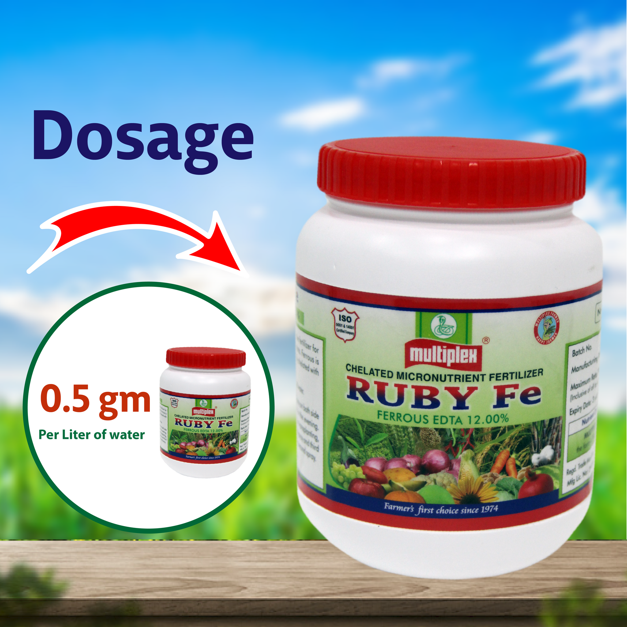 Multiplex Ruby Fe (Ferrous EDTA 12%) Dosage