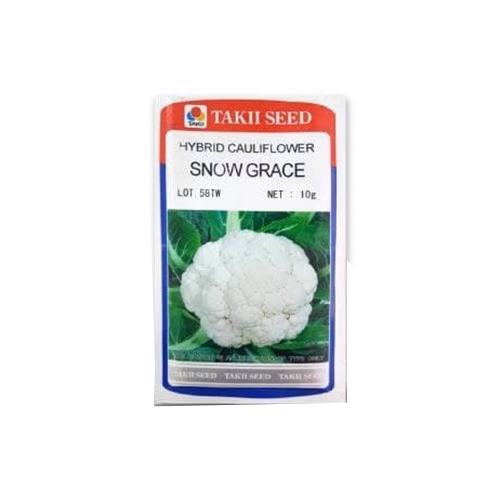Taki Snow Grace Cauliflower F1 Seeds - 10 Gm - Agriplex