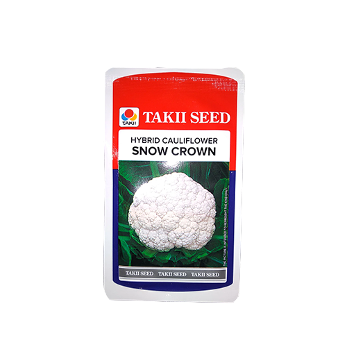 Taki Snow Mystique Cauliflower F1 Seeds - 10 GM (PACK OF 2) - Agriplex