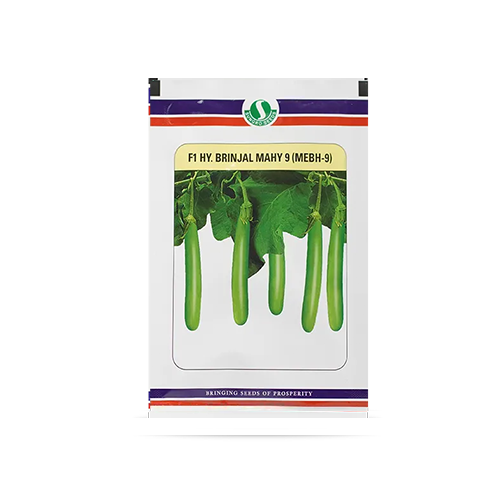 SUNGRO 9 Mebh-9 Brinjal Seeds - 10 GM - Agriplex