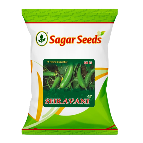 Sagar Cucumber Shravani Seeds - 25GM
