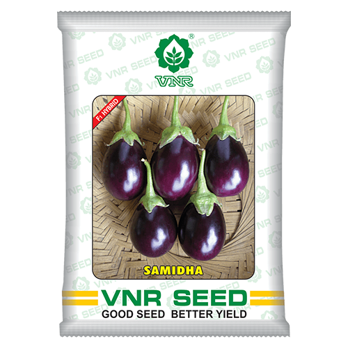 VNR Samidha Brinjal - 10 GM