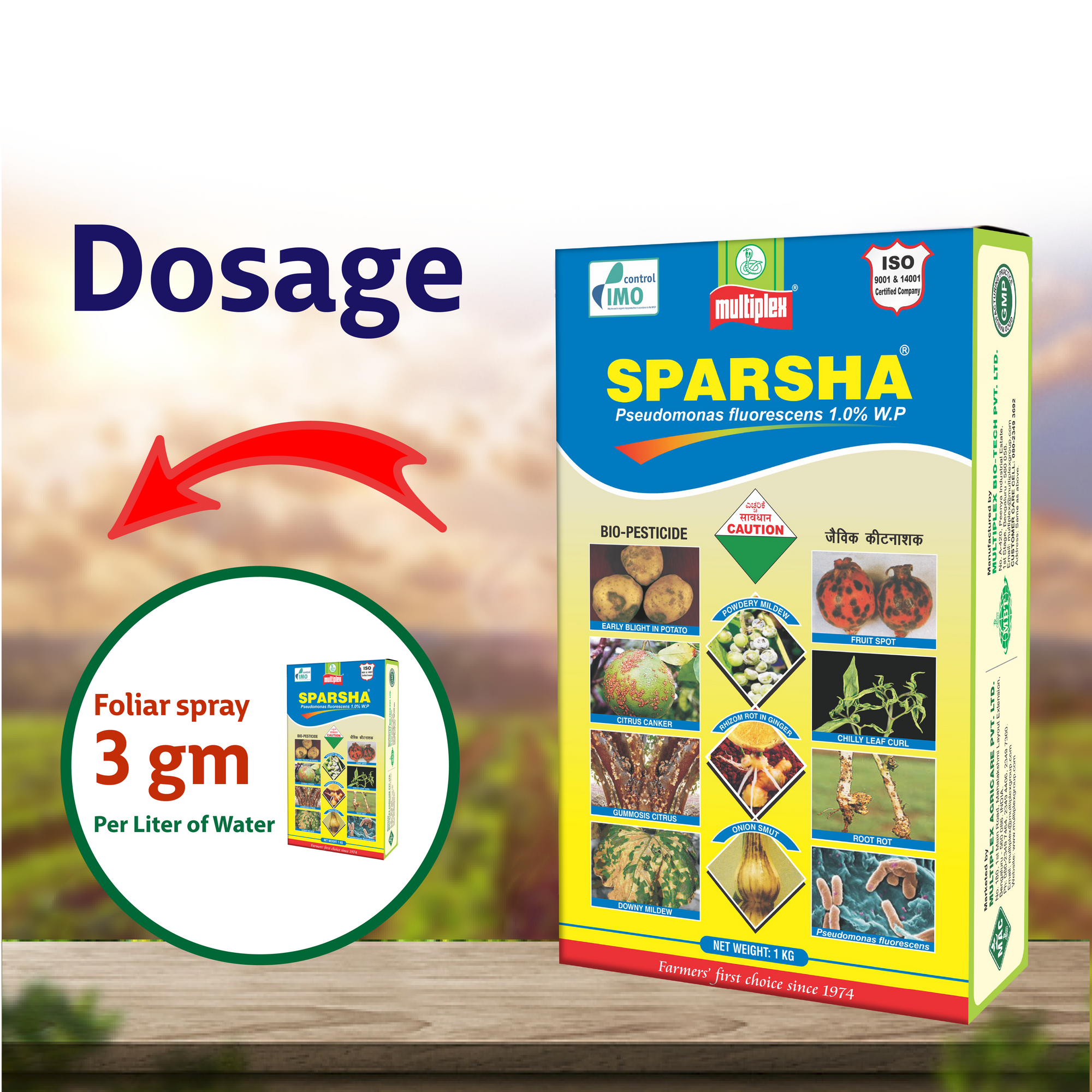 Multiplex Sparsha (Pseudomonas Fluorescens) - Powder Dosage